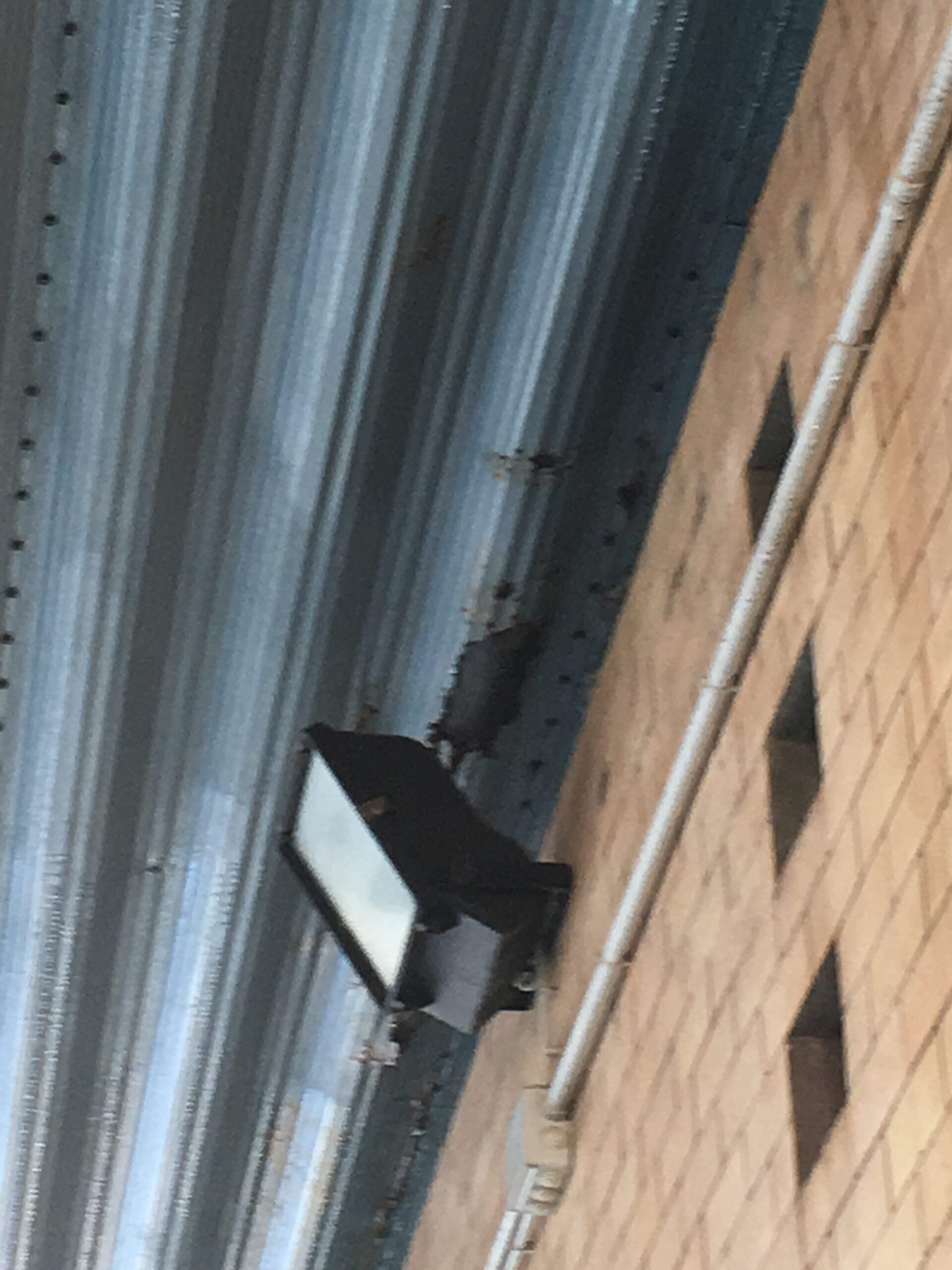Piscina comunale di Latina: corrosione su lato interno tetto metallico