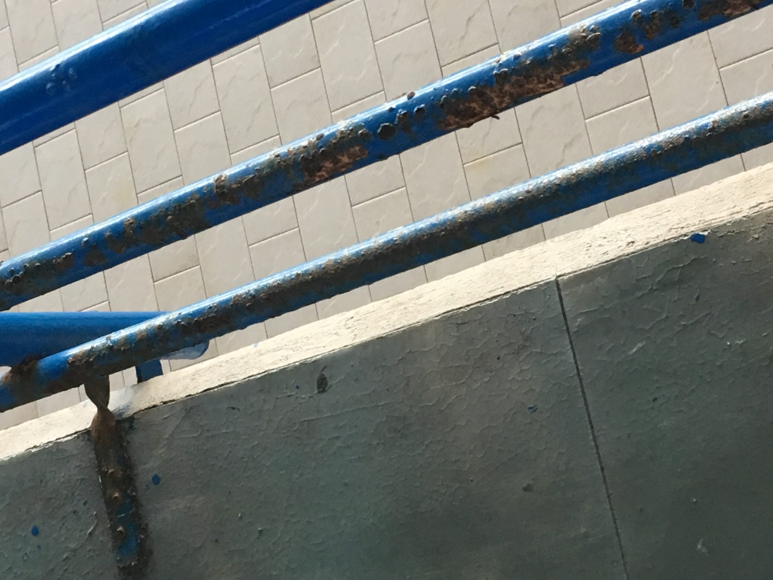 Piscina comunale di Latina: balaustra su piscina