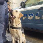 SQUADRA-CINOFILA-POLIZIA