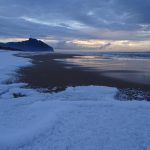 Sabaudia innevata 2