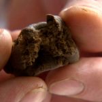 hashish