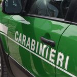 carabinieri-forestale