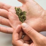 marijuana