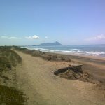 recupero dunale latina
