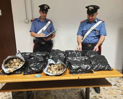 L'oppio sequestrato dai Carabinieri di Sabaudia