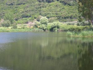 laghi Gricilli