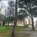 Parco Meddi