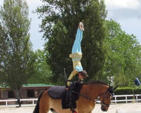 equitazione acrobatica latina