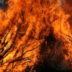 incendio