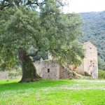 sughereta san vito a monte san biagio