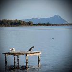 Lago-di-Fogliano