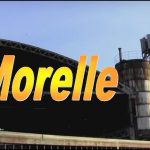 Morelle