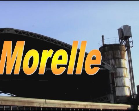 Morelle