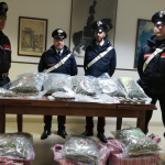 Gli stupefacenti sequestrati al 36enne: 27 kg di marijuana e circa 3 kg di hashish