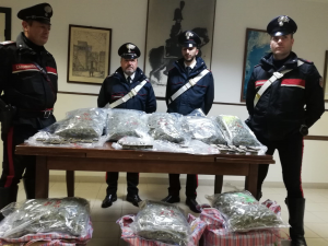 Gli stupefacenti sequestrati al 36enne: 27 kg di marijuana e circa 3 kg di hashish