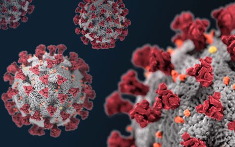 Coronavirus-SARS-CoV-2