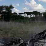 aereo-nettuno