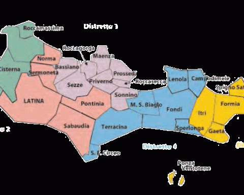 I cinque distretti socio-sanitari dell'Asl di Latina