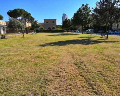 Area verde nel Quartiere Nicolosi (foto da Pagina Facebook del Comitato di Quartiere)