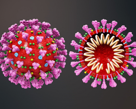 Coronavirus-section