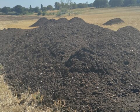 Il compost maleodorante che ha provocato l'intervento dei Carabinieri Forestali nel terreno di Via Piscina Scura a Latina