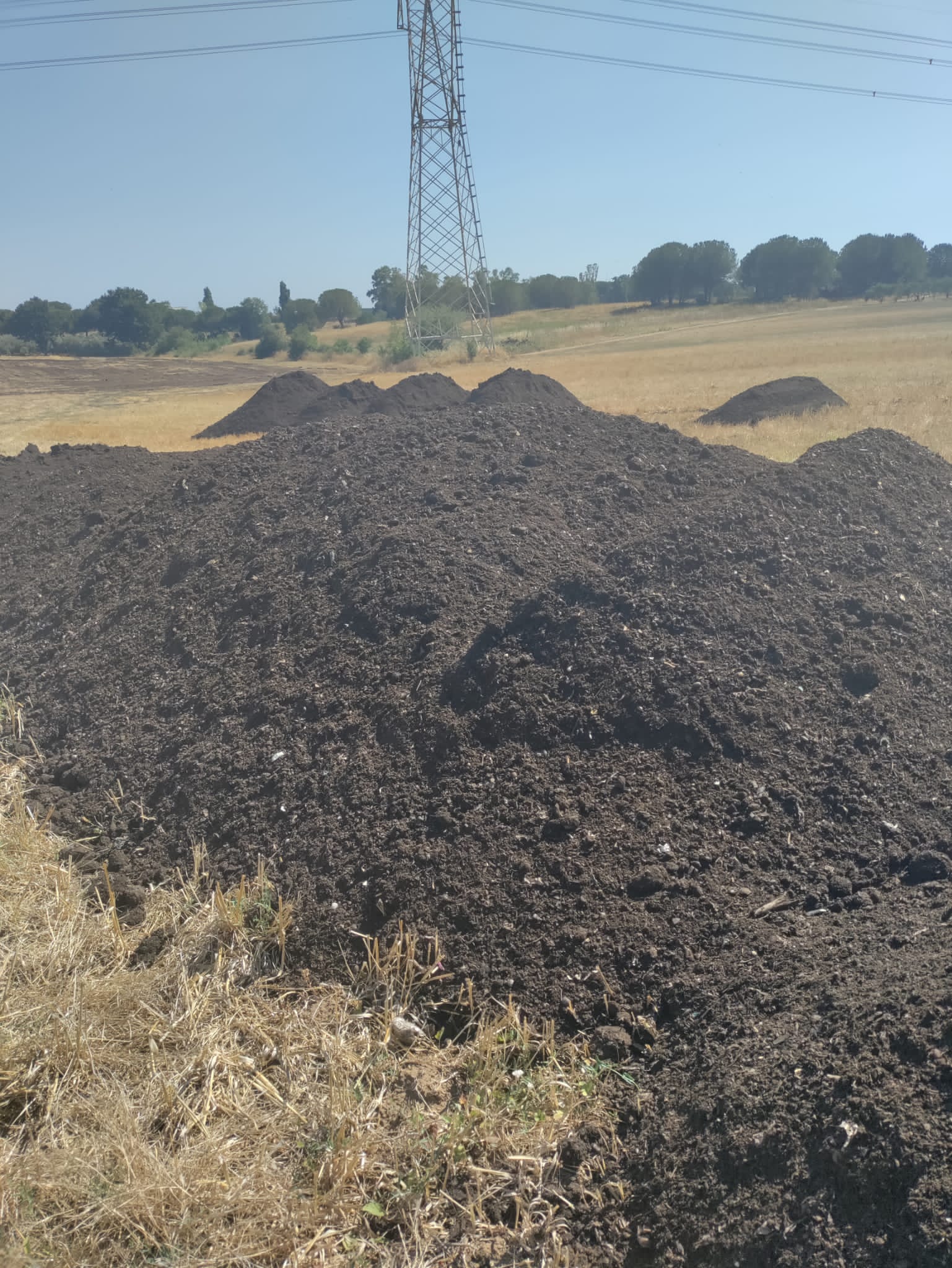 Il compost maleodorante che ha provocato l'intervento dei Carabinieri Forestali nel terreno di Via Piscina Scura a Latina