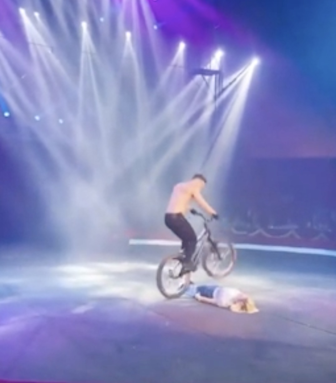 Ilary Blasi durante il numero al circo con l'acrobata della bicicletta