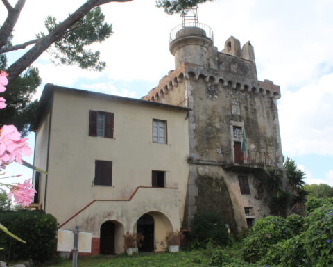 Torre Badino