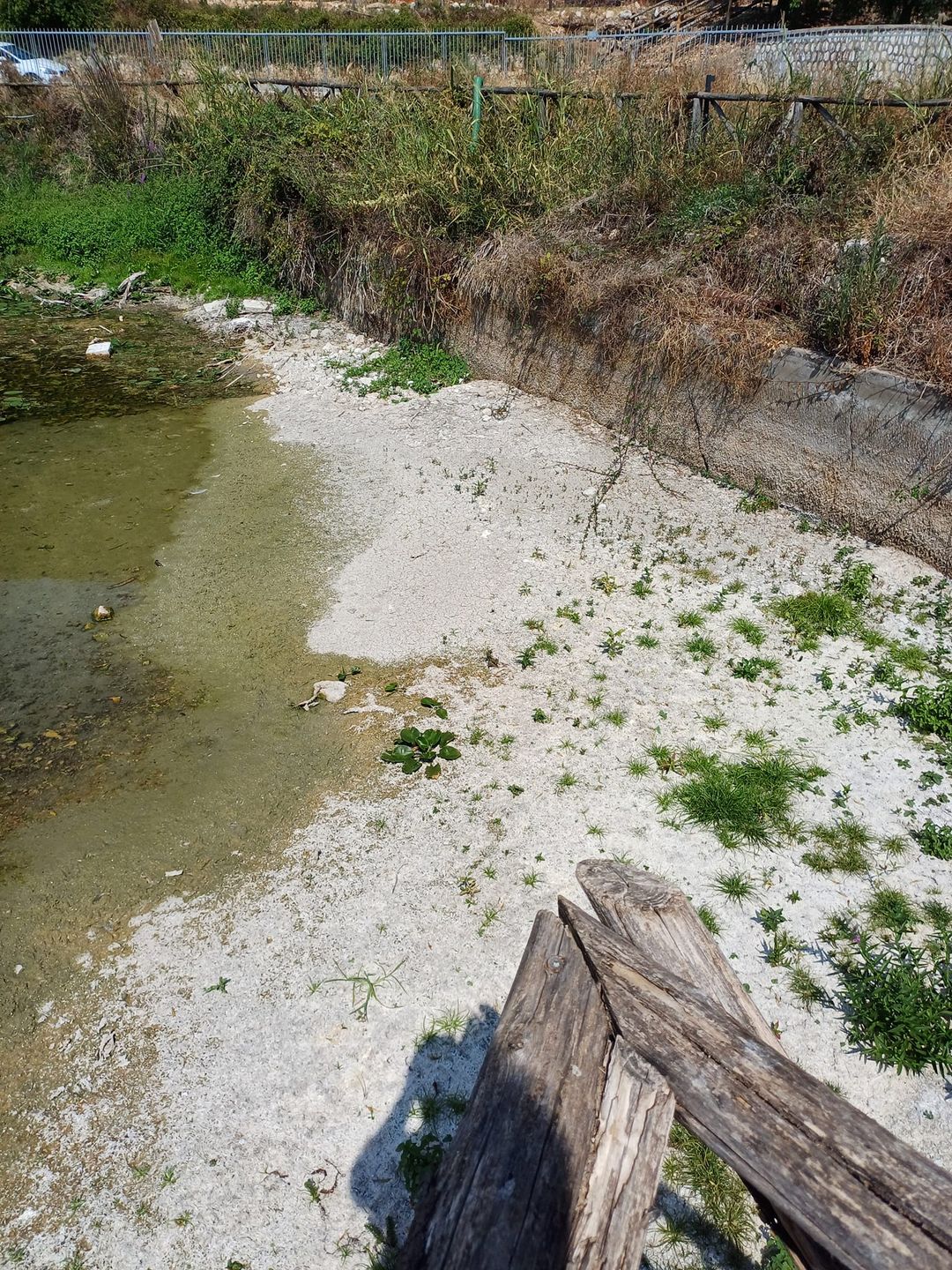 L'immagine pubblicata il 31 agosto dal Sindaco Lidano Lucidi su Facebook. La foto rappresenta la situazione attuale di Mole Muti