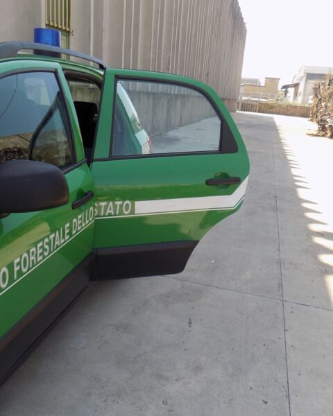 I Carabinieri Forestali all'Asea srl di Aprilia durante il sequestro avvenuto nel 2016