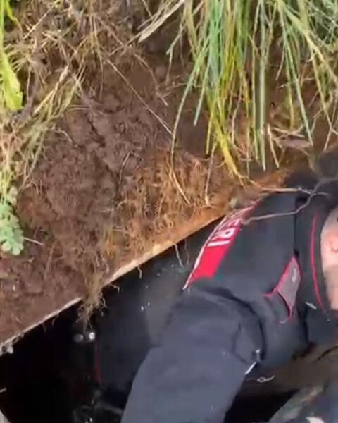 Il bunker trovato sotto la villa di Forniti