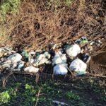 Fosso delle Cannucce