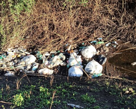 Fosso delle Cannucce