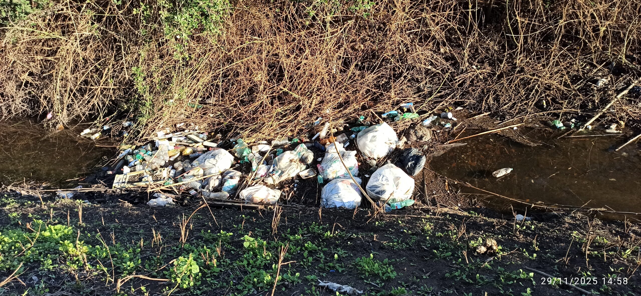 Fosso delle Cannucce