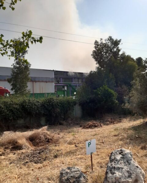 L'impianto della Sep a Pontinia ancora fumante (foto scattata alle ore 10 del 23 agosto 2021)