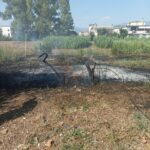 Immagine dal gruppo ANC Latina - Nucleo Protezione Civile