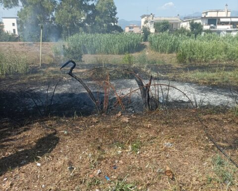 Immagine dal gruppo ANC Latina - Nucleo Protezione Civile