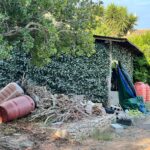 Il piccolo capannone coperto dagli arbusti dove il sodalizio raffinava la cocaina