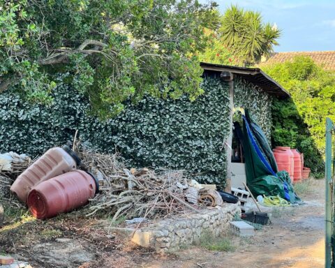 Il piccolo capannone coperto dagli arbusti dove il sodalizio raffinava la cocaina
