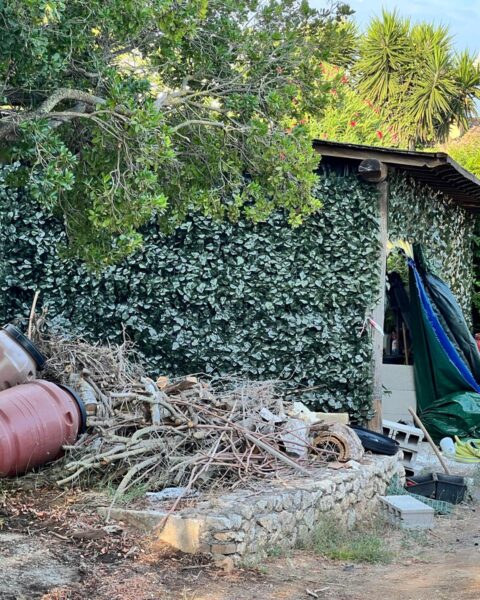 Il piccolo capannone coperto dagli arbusti dove il sodalizio raffinava la cocaina